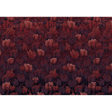 Tulipe - fototapet - 280x400 cm - fra Komar