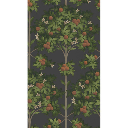 Orange Blossom sort - tapet - 10,05x0,52 m - fra Cole & Son