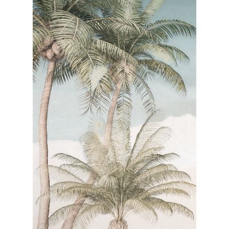 Palm Oasis - fototapet - 2,8x2 m - fra Tapetcompagniet