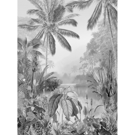 Lac Tropical Black & White - fototapet - 2,7x2 m - fra Tapetcompagniet