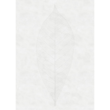 Decent Leaf - fototapet - 2,8x2 m - fra Tapetcompagniet