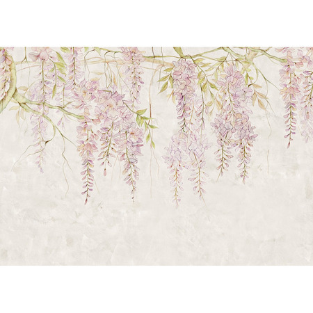 Wisteria - fototapet - 2,8x4 m - fra Tapetcompagniet