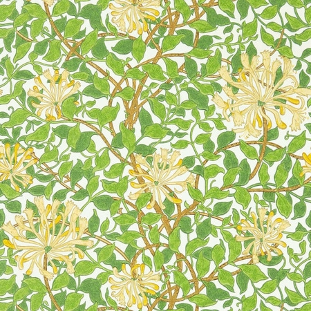 Honeysuckle cream/chokolade- tapet - 10.05x0.52m - fra Morris & Co.