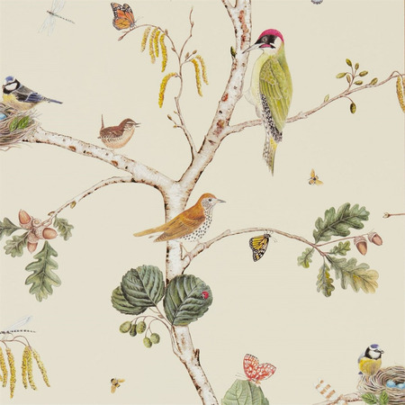 Woodland Walk Birds beige/multi - tapet - 10x0,52 m - fra Sanderson