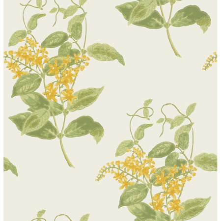 Archive Anthology gule blomster - tapet - 10x0,52 m - fra Cole & Son