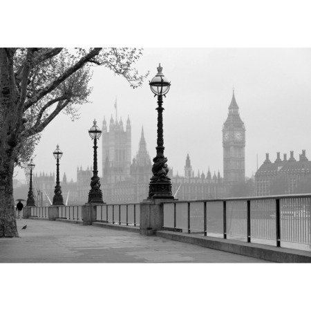 London Fog - fototapet - 366x254 cm - fra Wizard and Genius