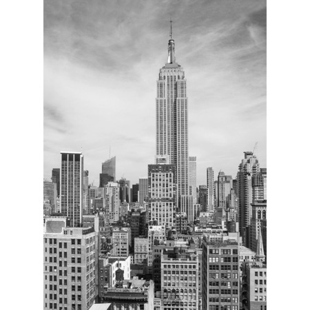 The Empire State - fototapet - 254x183 cm - fra Wizard and Genius