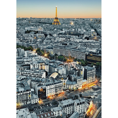 Paris Aerial View - fototapet - 254x183 cm - fra Wizard and Genius