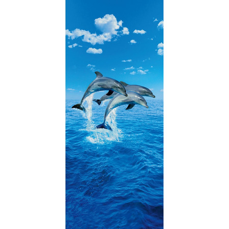 Three Dolphins - fototapet - 200x86 cm - fra Wizard and Genius