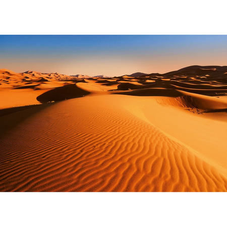 Desert Landscape - fototapet - 254x366 cm - fra Wizard and Genius