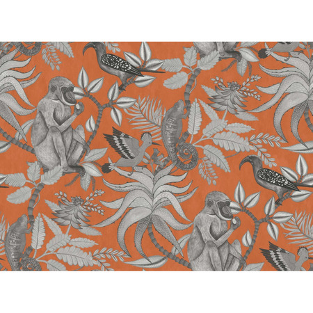 Ardmore Savuti orange - tapet - 10x0,52 m - fra Cole & Son