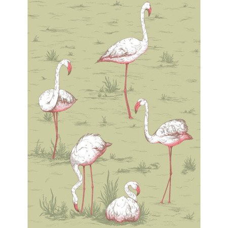 Flamingos grøn - tapet - 10x0,53 m - fra Cole & Son