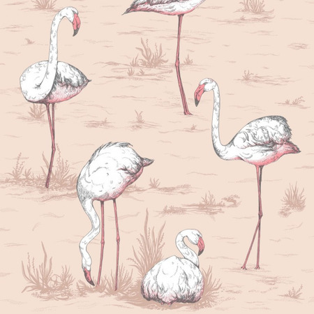 Flamingos rosa - tapet - 10x0,53 m - fra Cole & Son