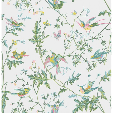 Hummingbird hvid - tapet - 10x0,52 m - fra Cole & Son