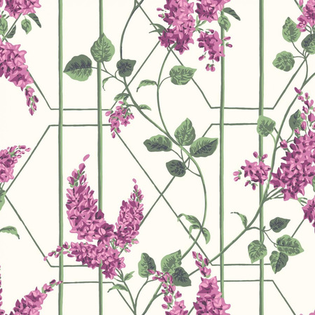 Wisteria lilla - tapet - 10x0,52 m - fra Cole & Son