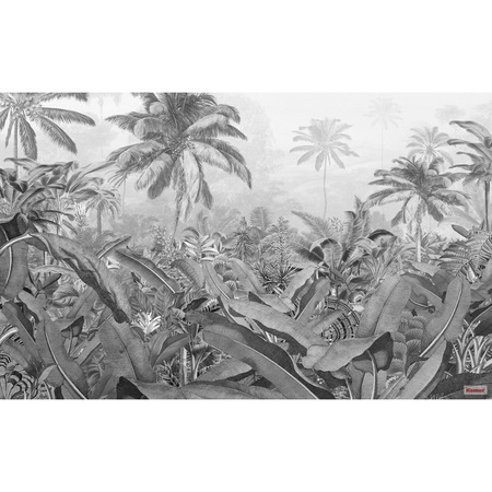 Amazonia Black and White - fototapet - 250x400 cm - fra Komar