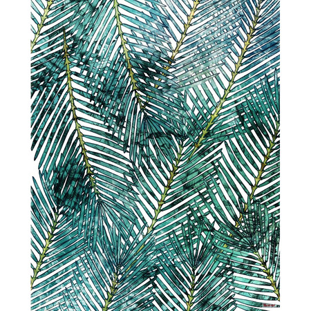 Palm Canopy - fototapet - 250x200 cm - fra Komar