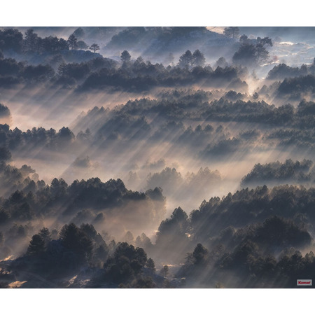 Rays - fototapet - 250x300 cm - fra Komar