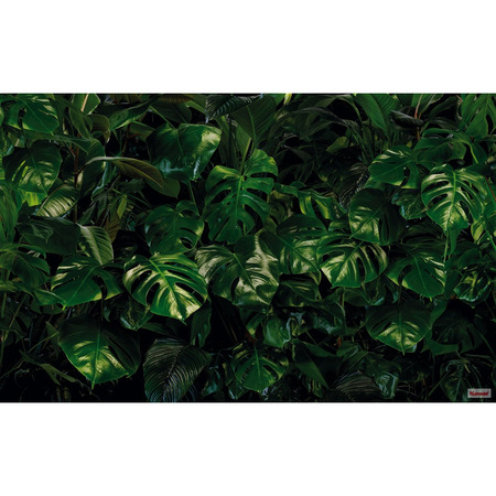 Tropical Wall - fototapet - 250x400 cm - fra Komar