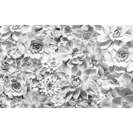 Shades Black and White - fototapet - 250x400 cm - fra Komar