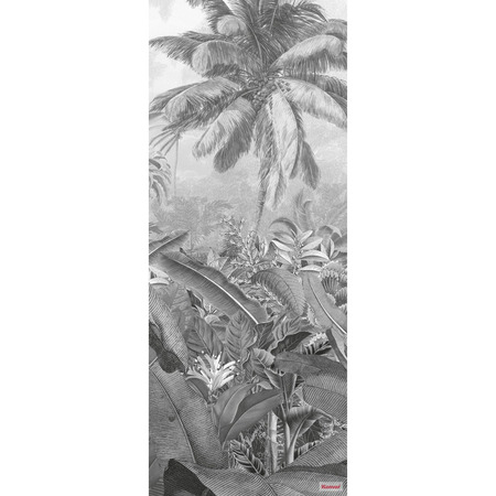 Amazonia Black and White Panel - fototapet - 250x100 cm - fra Komar