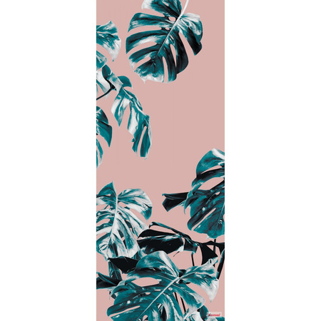 Monstera Rosé Panel - fototapet - 250x100 cm - fra Komar