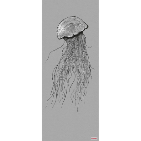 Jellyfish Panel - fototapet - 250x100 cm - fra Komar