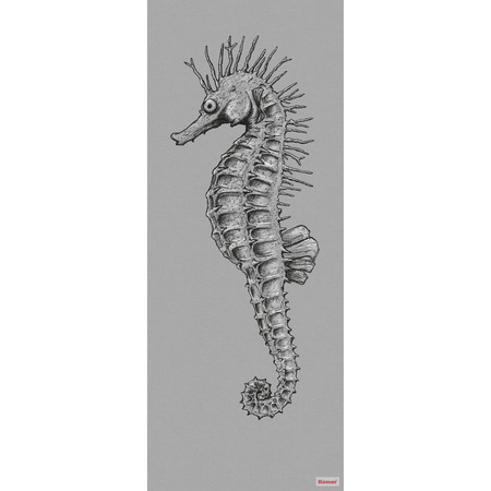 Seahorse Panel - fototapet - 250x100 cm - fra Komar