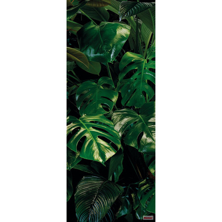 Tropical Wall Panel - fototapet - 200x250 cm - fra Komar