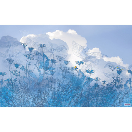 Blue Sky - fototapet - 250x400 cm - fra Komar