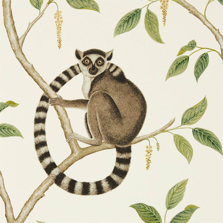 Ringtailed Lemur hvid - tapet - 10,05x0,52 m - fra Sanderson