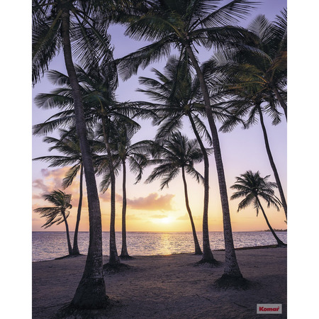 Palmtrees on Beach - fototapet - 250x200 cm - fra Komar