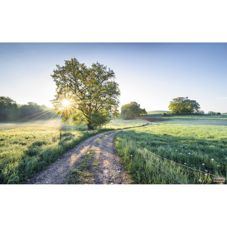 A New Day in Paradise - fototapet - 400x250 cm - fra Komar