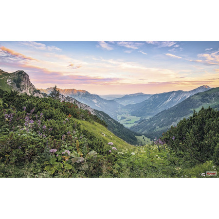 Alps - fototapet - 250x400 cm - fra Komar