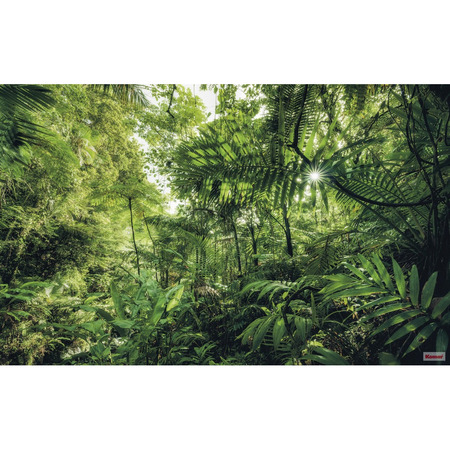 Into The Jungle - fototapet - 250x400 cm - fra Komar